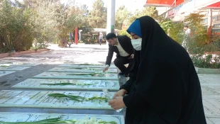 شروع سال تحصیلی دانشگاه ملی مهارت واحد استان قم با تجدید میثاق با شهداء 11